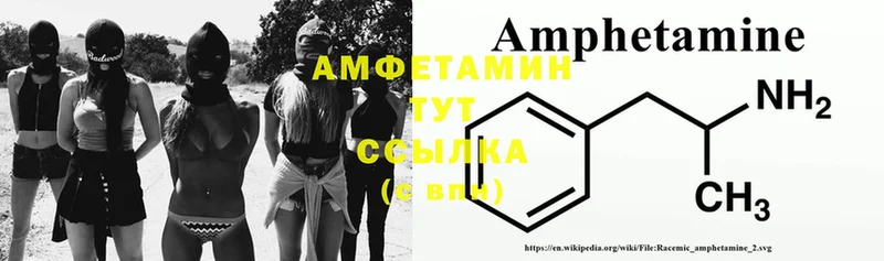 Amphetamine Premium  кракен зеркало  Елец 